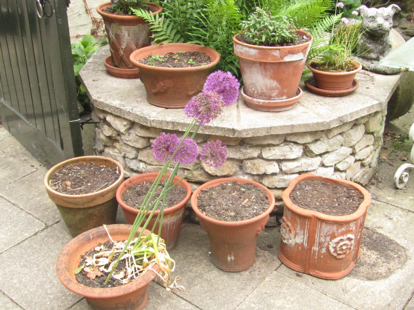 Appraisal: Assorted terracotta stone and other planters in the courtyard not