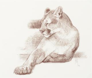 Appraisal: BOB KUHN - The Queen Lioness conte on paper x