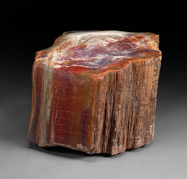 Appraisal: Petrified Wood Stump Araucarioxylon arizonicum Triassic Chinle Formation Northern Arizona