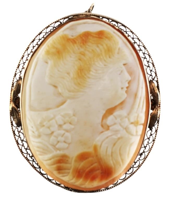 Appraisal: ANTIQUE CAMEO K WHITE GOLD FRAMEOld Edwardian cameo pin has