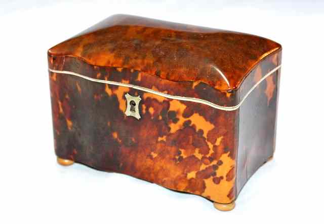 Appraisal: A SINGLE DIVISIONAL TEA CADDY with break front sides domed