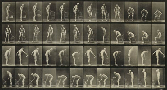 Appraisal: MUYBRIDGE EADWEARD - Self-portrait showing movements from Animal Locomotion Collotype