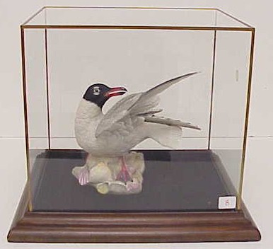 Appraisal: Boehm porcelain Laughing Gull h in custom glass display case