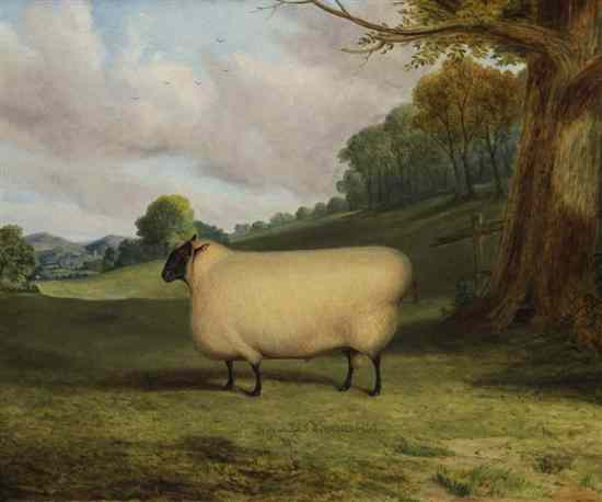 Appraisal: Richard Whitford c - oil on canvas 'A Prize Sheep'