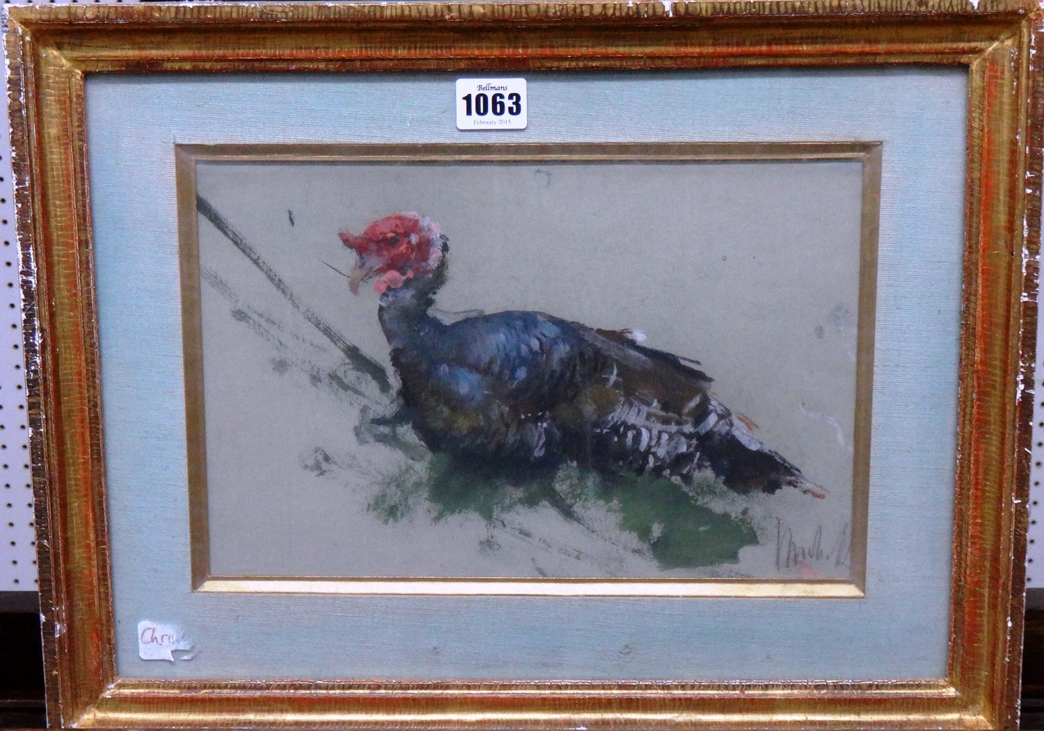 Appraisal: Continental School th th century Study of a Turkey gouache