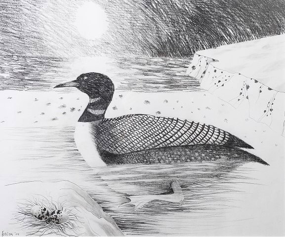 Appraisal: Mary Fedden British - Great Northern Diver signed and dated