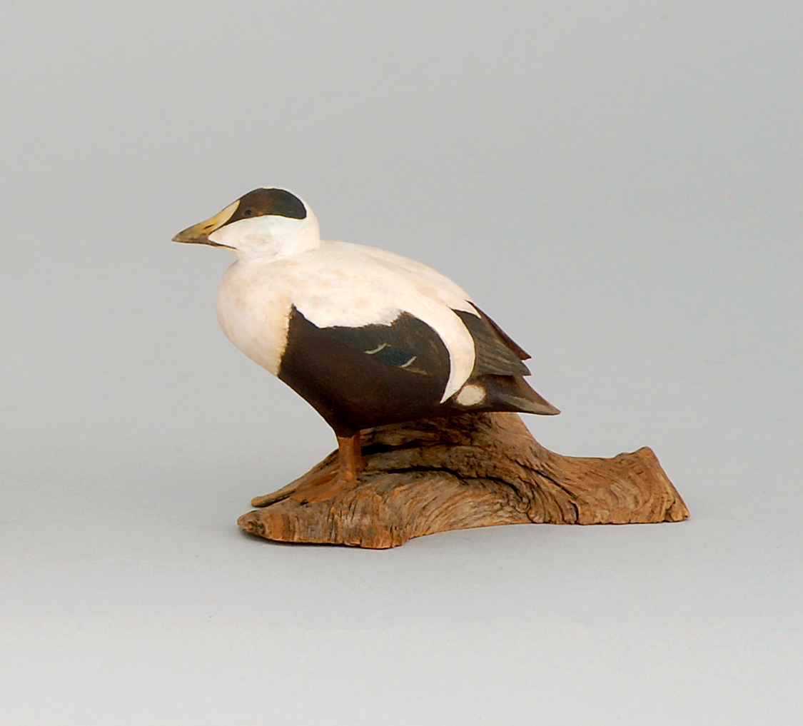 Appraisal: MINIATURE EIDER DRAKE By Harold Gibbs of Barrington Rhode Island