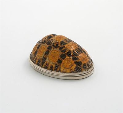 Appraisal: An early th century silver mounted terrapin snuff box apparently