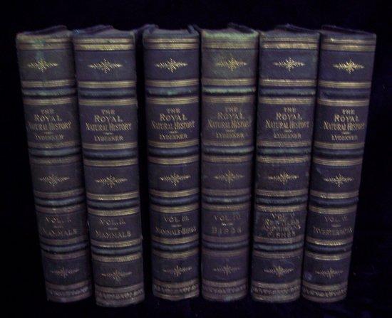 Appraisal: Lydekker R The Royal Natural History in six volumes leather