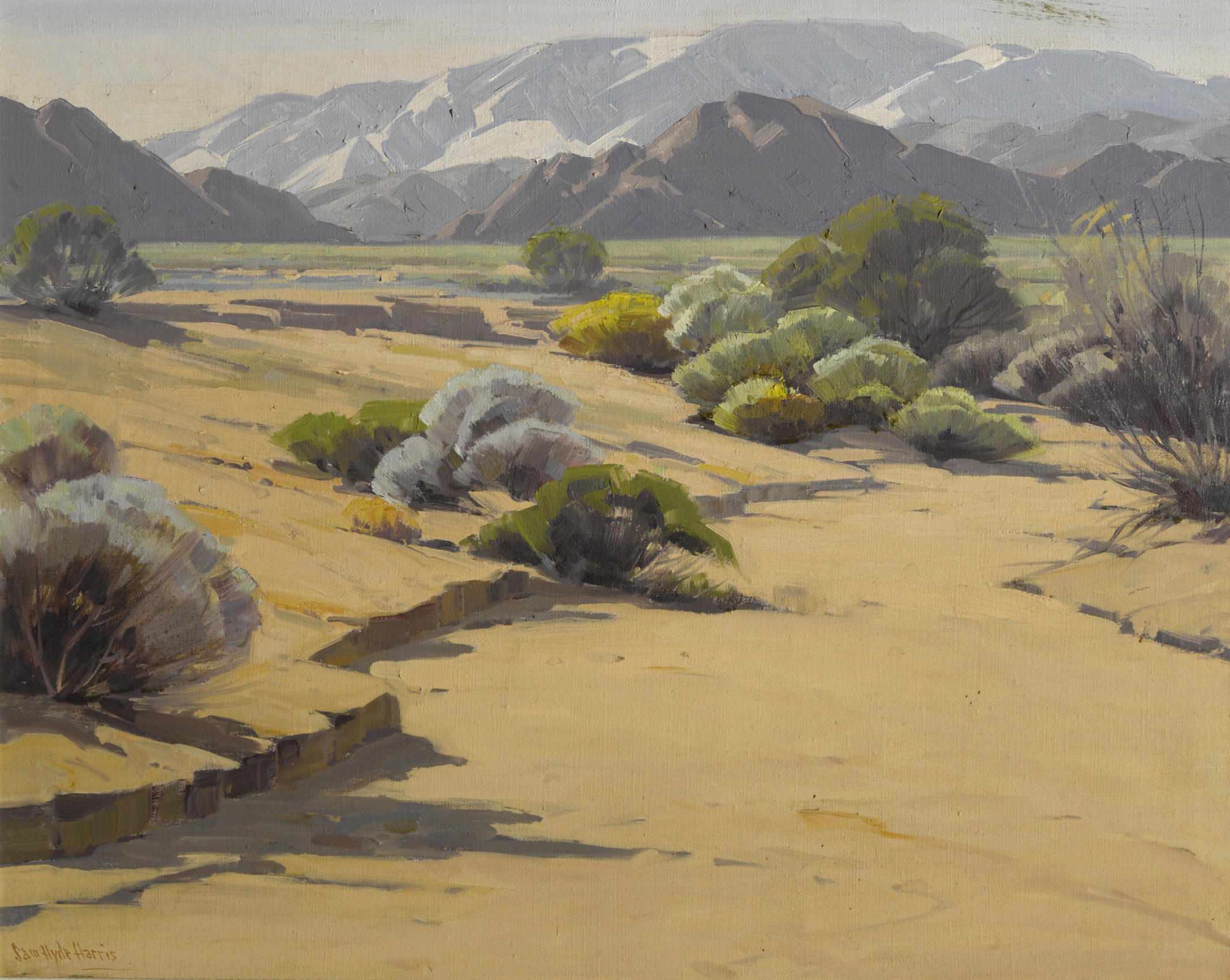 Appraisal: Sam Hyde Harris American - Desert in February signed 'Sam