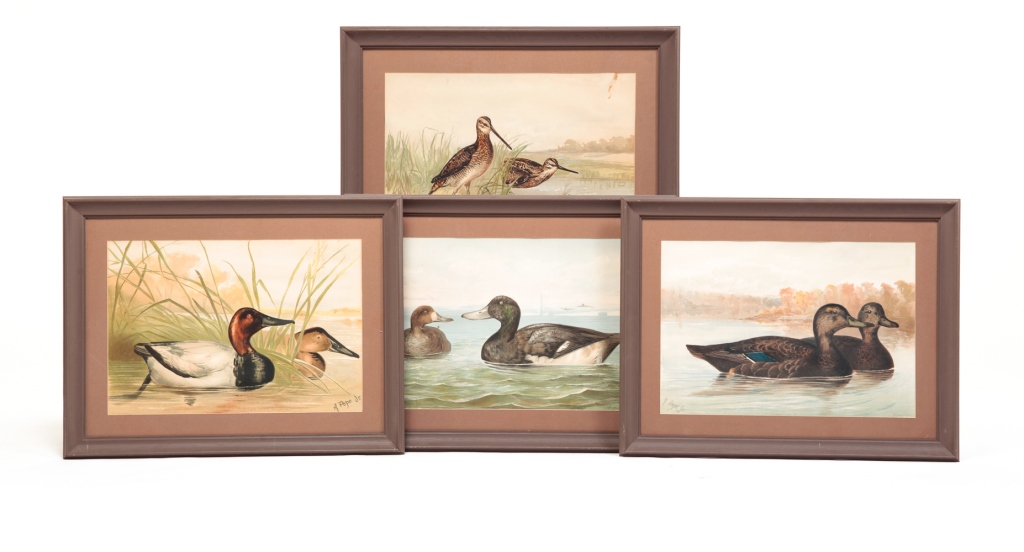 Appraisal: FOUR ALEXANDER POPE DUCK PRINTS Chromolithographs from Upland Game Birds