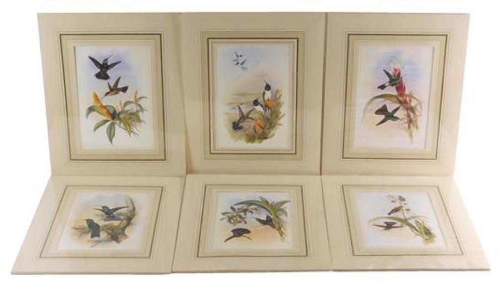 Appraisal: Six matted reproduction prints of hummingbirds six different species featured