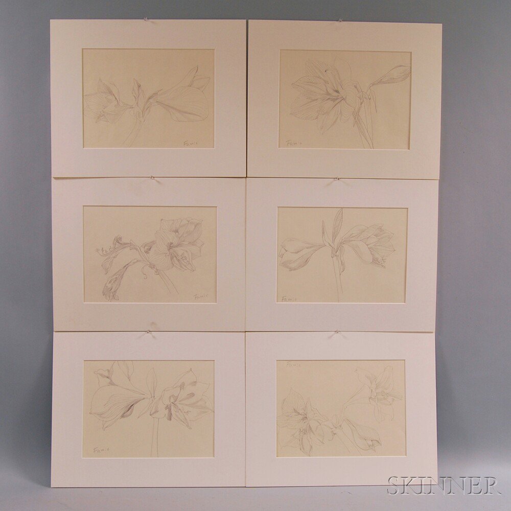 Appraisal: Fumio Yoshimara Japanese - Six Floral Study Drawings All signed