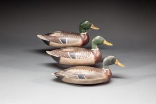 Appraisal: Three Mallard Drakes by Michael Valero Michael Valero - Spring