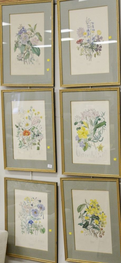 Appraisal: Group of eight framed and matted hand-colored botanical lithographs six