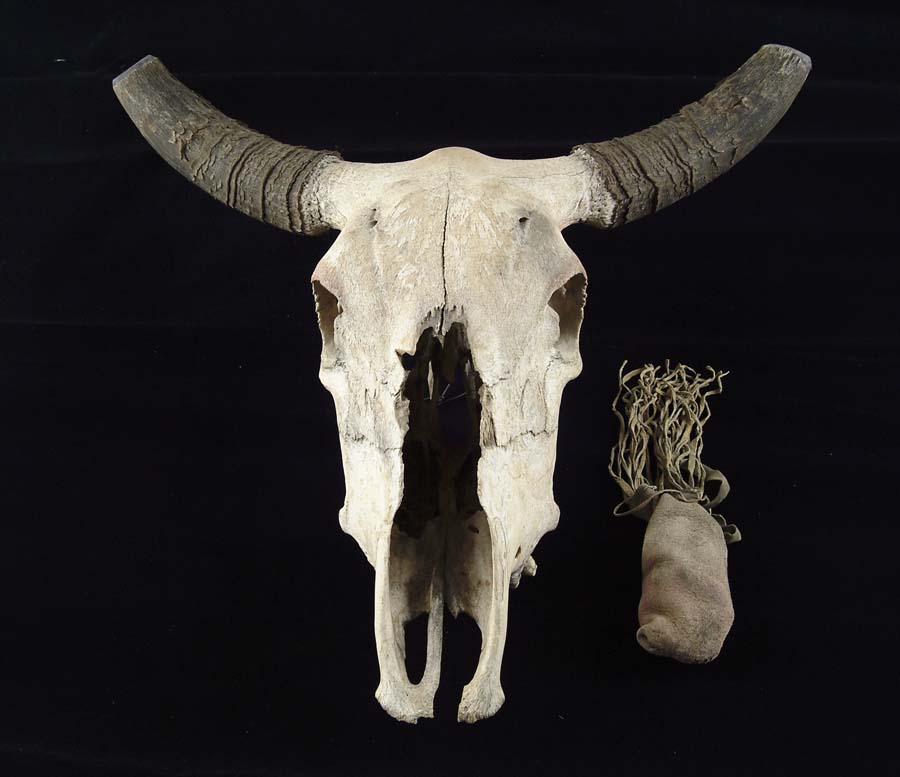 Appraisal: COW SKULL AND MEDICINE POUCH PLAINS LATE TH CENTURY Owner