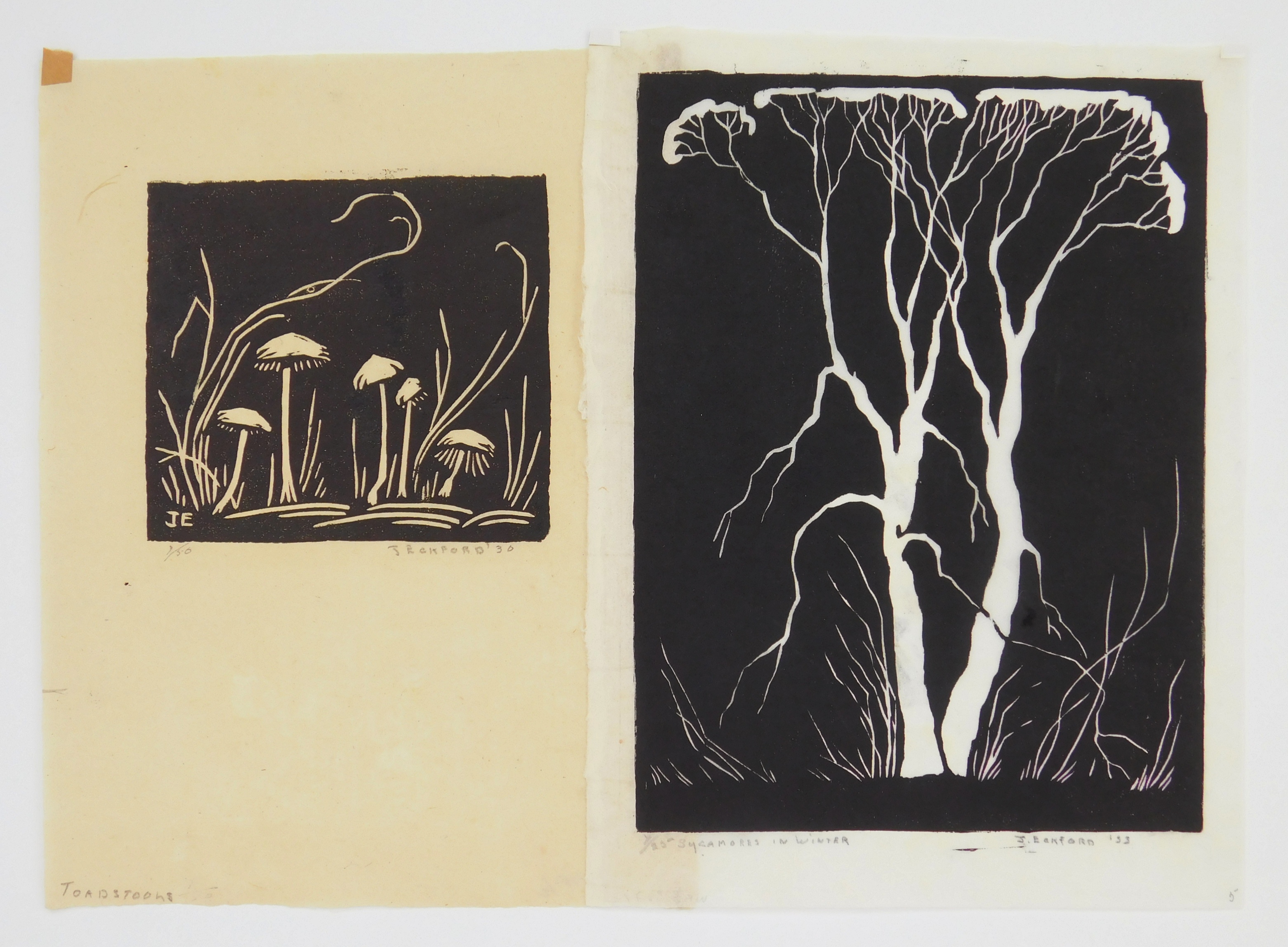 Appraisal: Jessie Jo Eckford - ''Toadstools''- woodblock signed dated and numbered