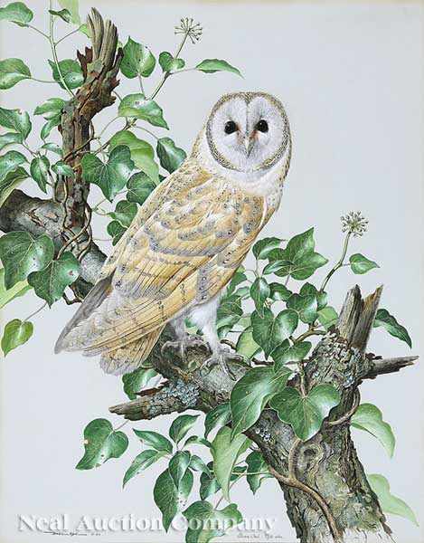 Appraisal: Basil Ede English b Barn Owl watercolor on paper signed