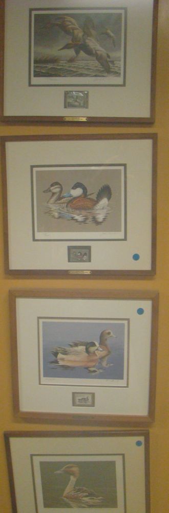 Appraisal: FOUR FRAMED FEDERAL DUCK STAMP PRINTS For and Approximately x