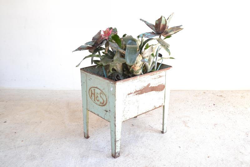 Appraisal: A DECORATIVE METAL PLANTER WITH BROMELIAD A DECORATIVE METAL PLANTER