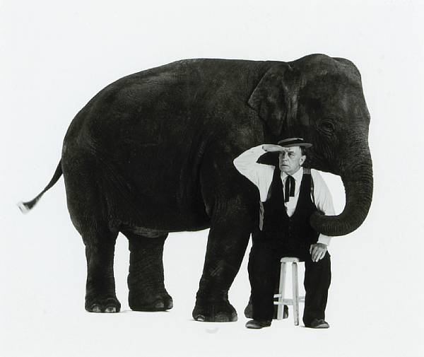 Appraisal: Sid Avery American - Buster Keaton 'What Elephant ' Gelatin