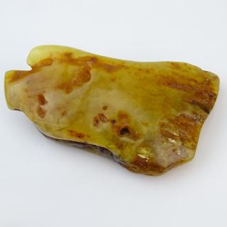 Appraisal: Vintage Polished Amber Specimen Vintage Polished Amber Specimen Natural inclusions