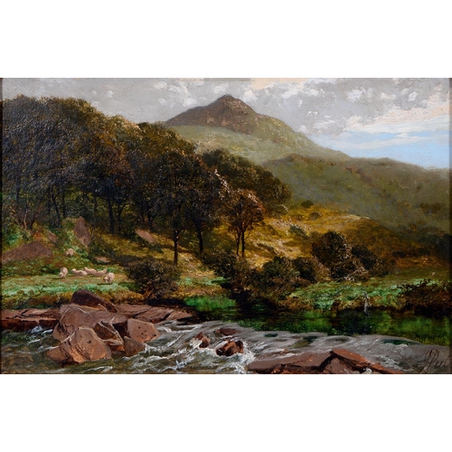 Appraisal: James Peel - Mountainous Landscape North Wales signed oil on