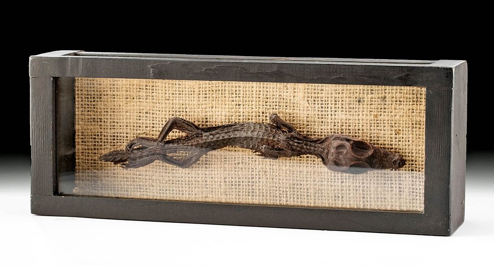 Appraisal: Fine Egyptian Mummified Baby Crocodile Egypt Late Dynastic Period th