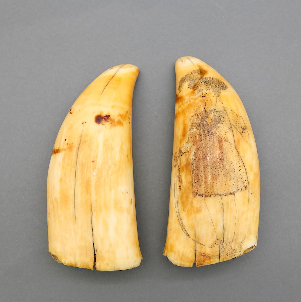 Appraisal: Pair of Whaleman Scrimshawed and Polychromed Sperm Whale Teeth Exclusive