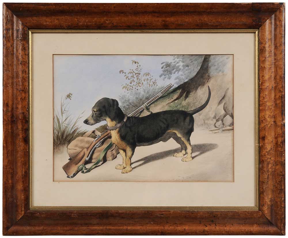 Appraisal: American Sporting Lithograph th century Walter Chatham's Dog Schatze Oct