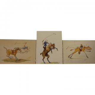 Appraisal: Williamson Douglas American - Polo Drawings Unframed Size x inches