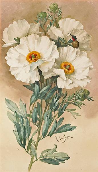 Appraisal: Paul Delongpre French American - 'Matilija poppies' signed and dated