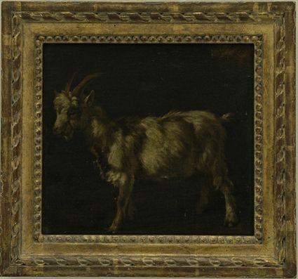 Appraisal: Continental School Goat Oil on canvas laid on board bearing