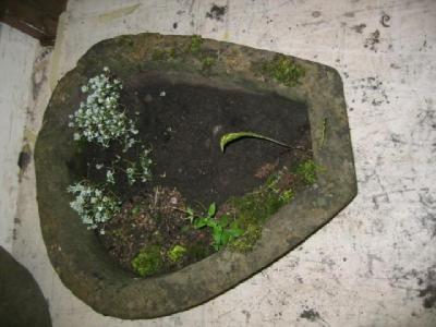 Appraisal: A YORKSHIRE STONE GARDEN TROUGH of horse shoe form x