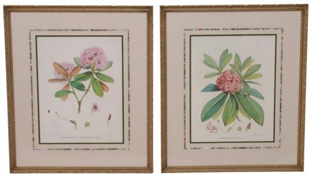 Appraisal: lot of Framed botanical offset prints on paper after Joseph