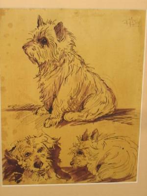 Appraisal: PAMELA HOBBS Study of a Terrier pen and ink drawing