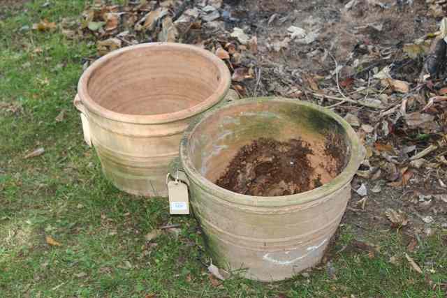 Appraisal: TWO CYLINDRICAL TERRACOTTA GARDEN PLANTERS with lug handles and sgraffito