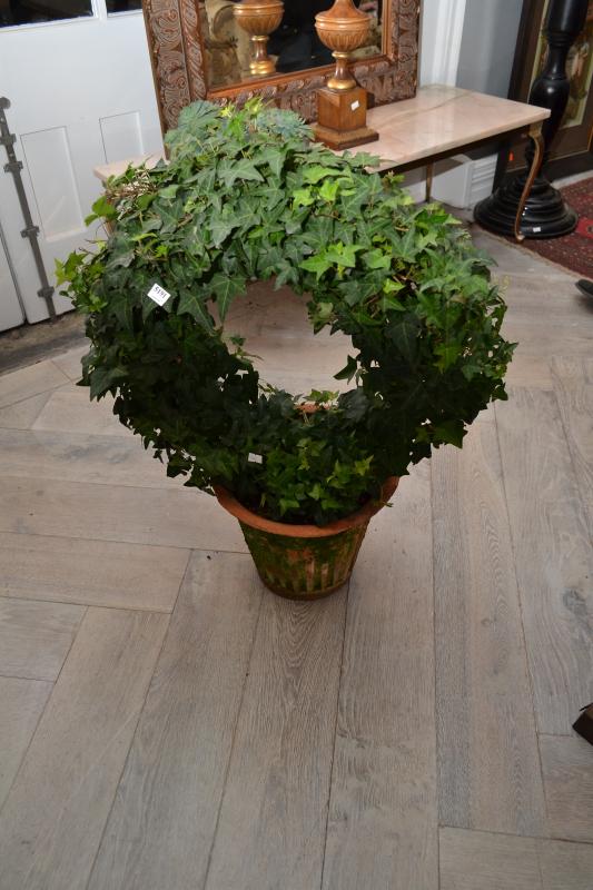 Appraisal: A GROUP OF THREE PLANTS INCLUDING ONE IVY RING A