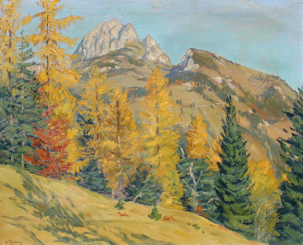 Appraisal: ROSSBACH Max German - Summer Mountain Landscape Oil Canvas ''