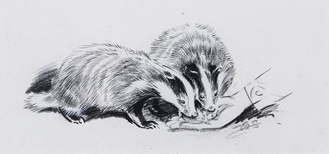 Appraisal: EILEEN SOPER - Badger cubs feeding in daylight signed with