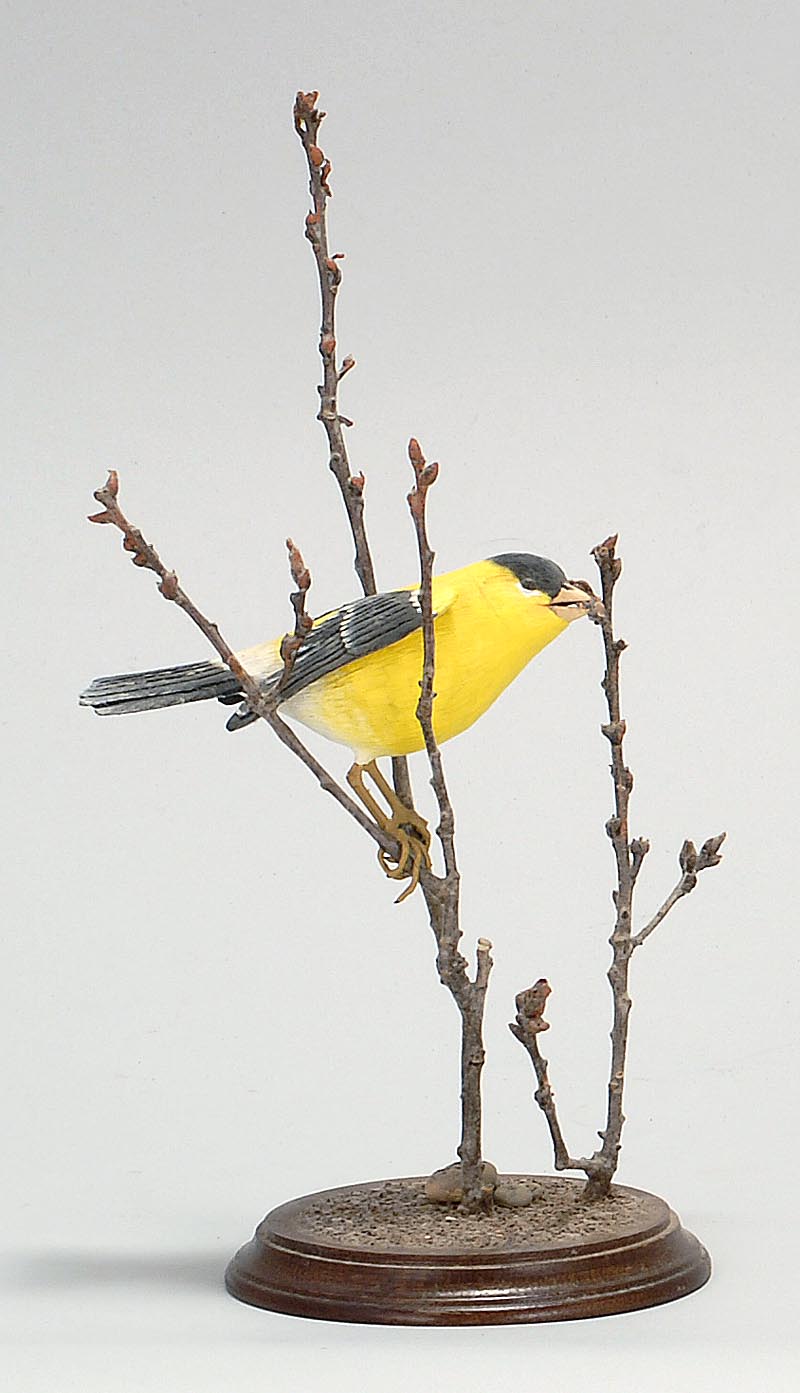 Appraisal: LIFE-SIZE GOLDFINCH By Stan Sparre of Cape Cod Massachusetts Mouth