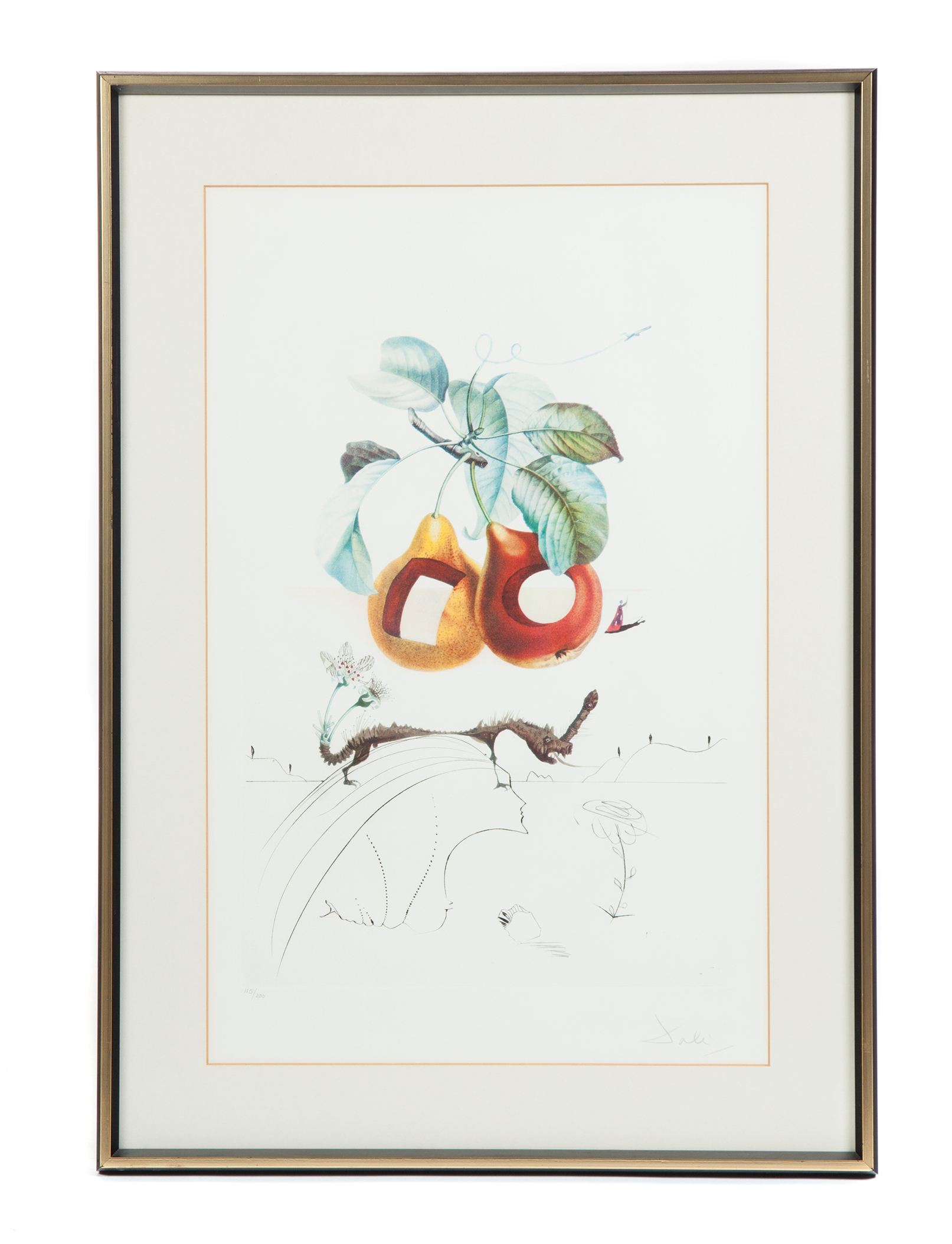 Appraisal: FRUITS TROUEES SALVADOR DALI SPAIN - Color lithograph and drypoint