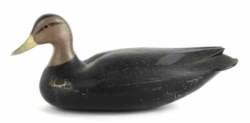 Appraisal: Black duck hollow body decoy probably New Jersey l