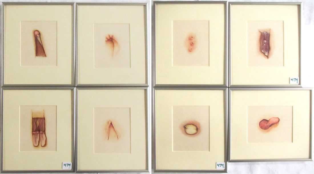 Appraisal: DAVID ECKARD EIGHT WATERCOLORS ON PAPER Portland Oregon st century