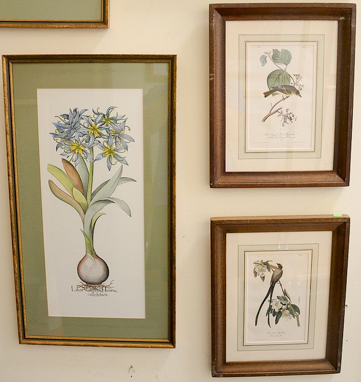 Appraisal: Lot of thirteen bird and flower prints lithographs to include