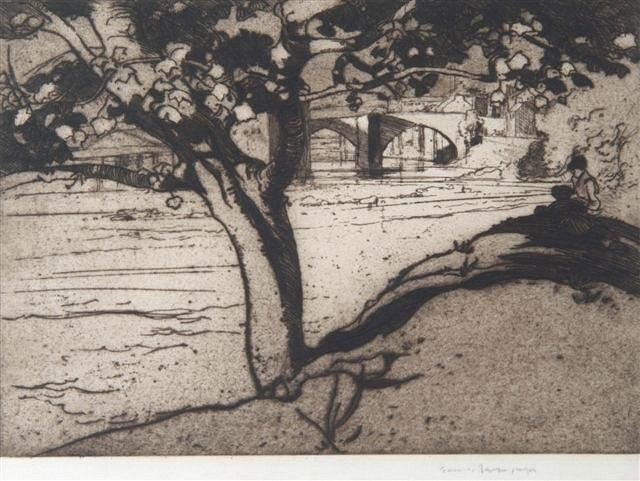 Appraisal: SIR FRANK BRANGWYN - - 'Maple tree Barnard Castle' etching