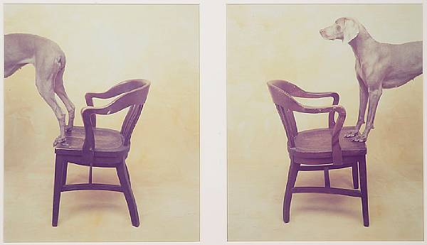 Appraisal: William Wegman American born Bridge Unique polariod polacolor diptych photographs