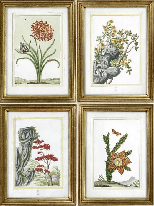 Appraisal: Chinese School Two Botanical Prints Hand-colored engravings matted and framed