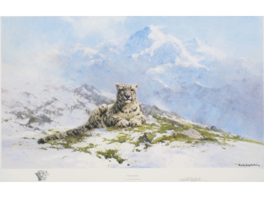 Appraisal: AFTER DAVID SHEPHERD Snow Leopard reproduction in colours pencil signed