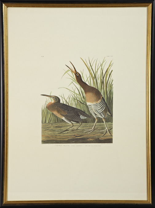 Appraisal: After John James Audubon American - suite of three fascimile